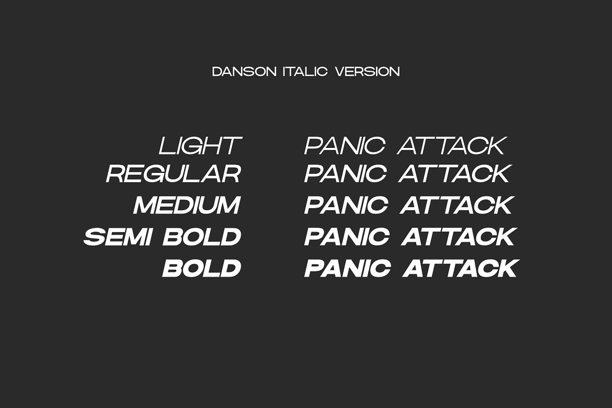 Danson Modern Logo Font Family, a Sans Serif Font by Andika Fez (Photo 7 of 10)