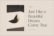 Bulgari - Modern Font, a Serif Font by Sans & Sons (Thumbnail 3 of 10)