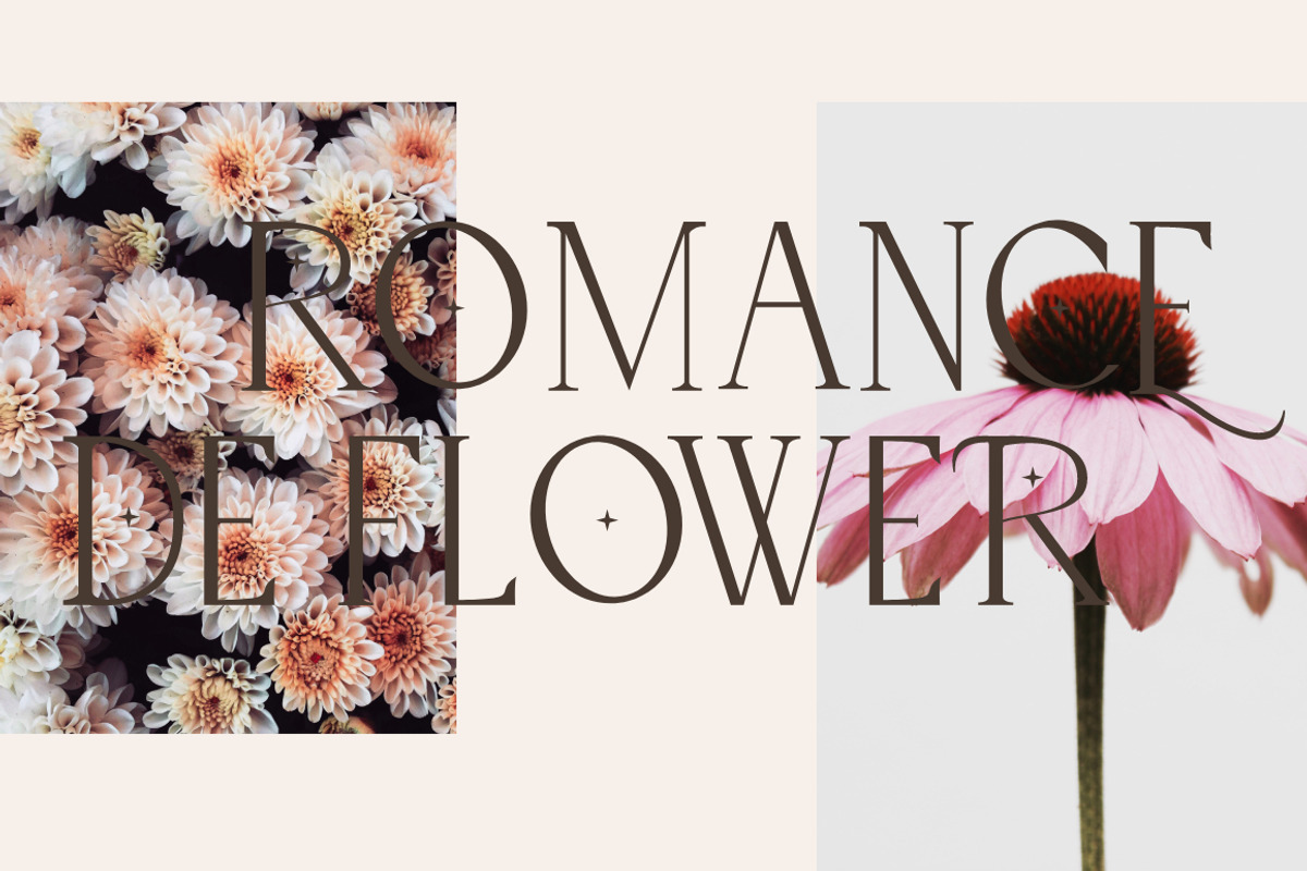 Belle Quest Stylish Serif, a Serif Font by KennedyStudio (Photo 4 of 10)