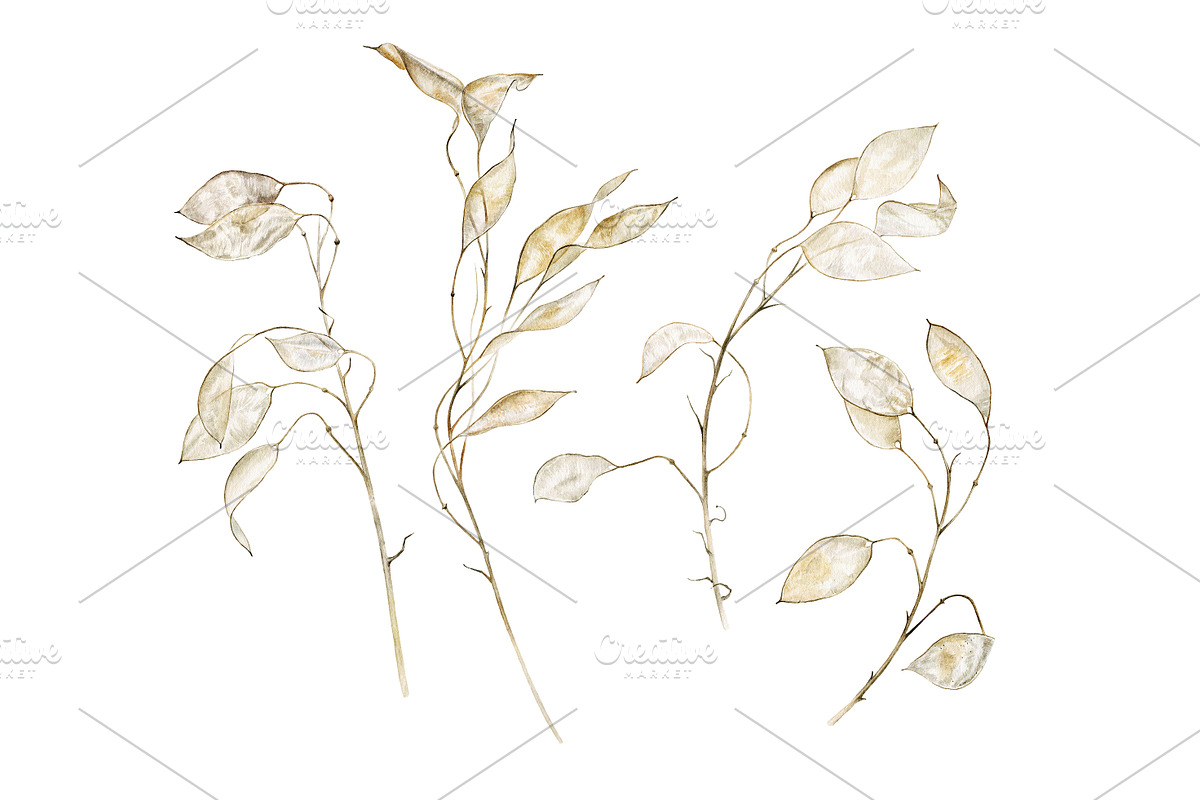Lunaria branches, an Illustration by Watercolor life (Photo 2 of 7)