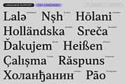TT Jenevers, a Serif Font by TypeType (Thumbnail 7 of 15)