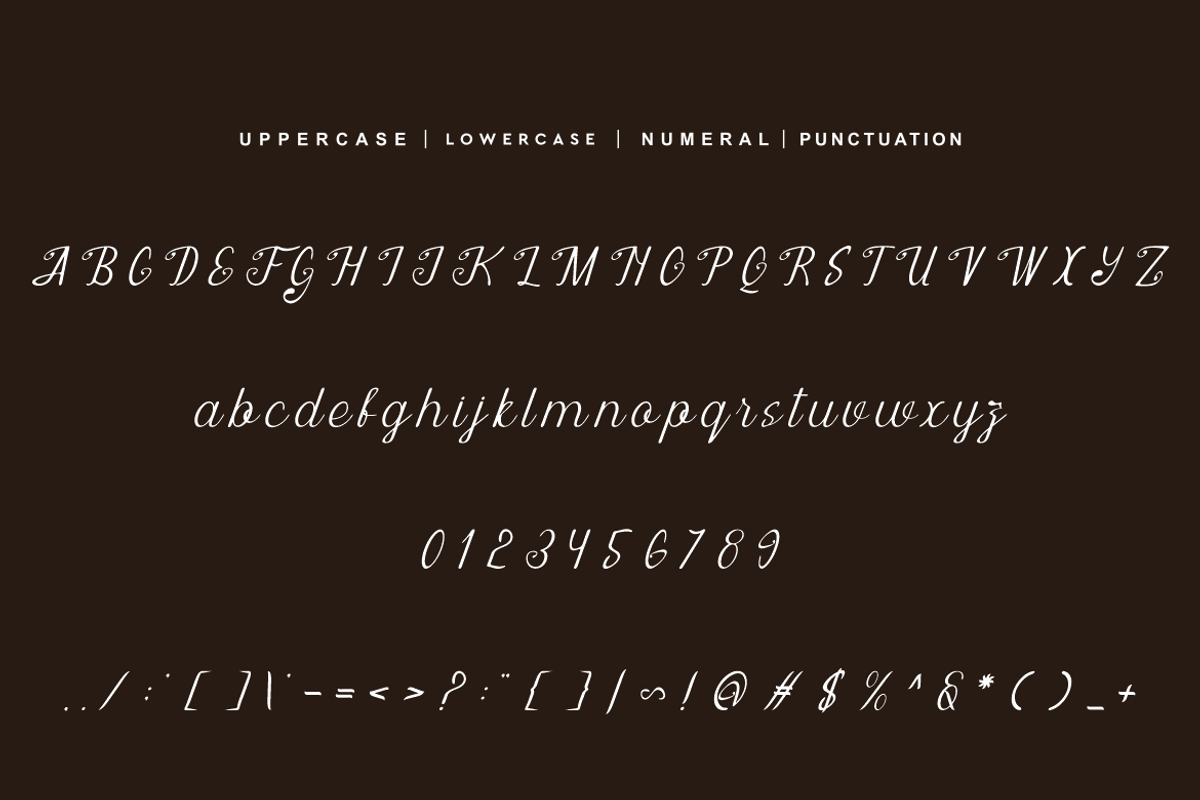Gettosle - Elegant Script Font, a Handwritten Font by Iqsiart Studio (Photo 2 of 7)