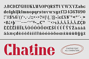 Chatine – Display Typeface, a Serif Font by Craft Supply Co. (Thumbnail 8 of 8)