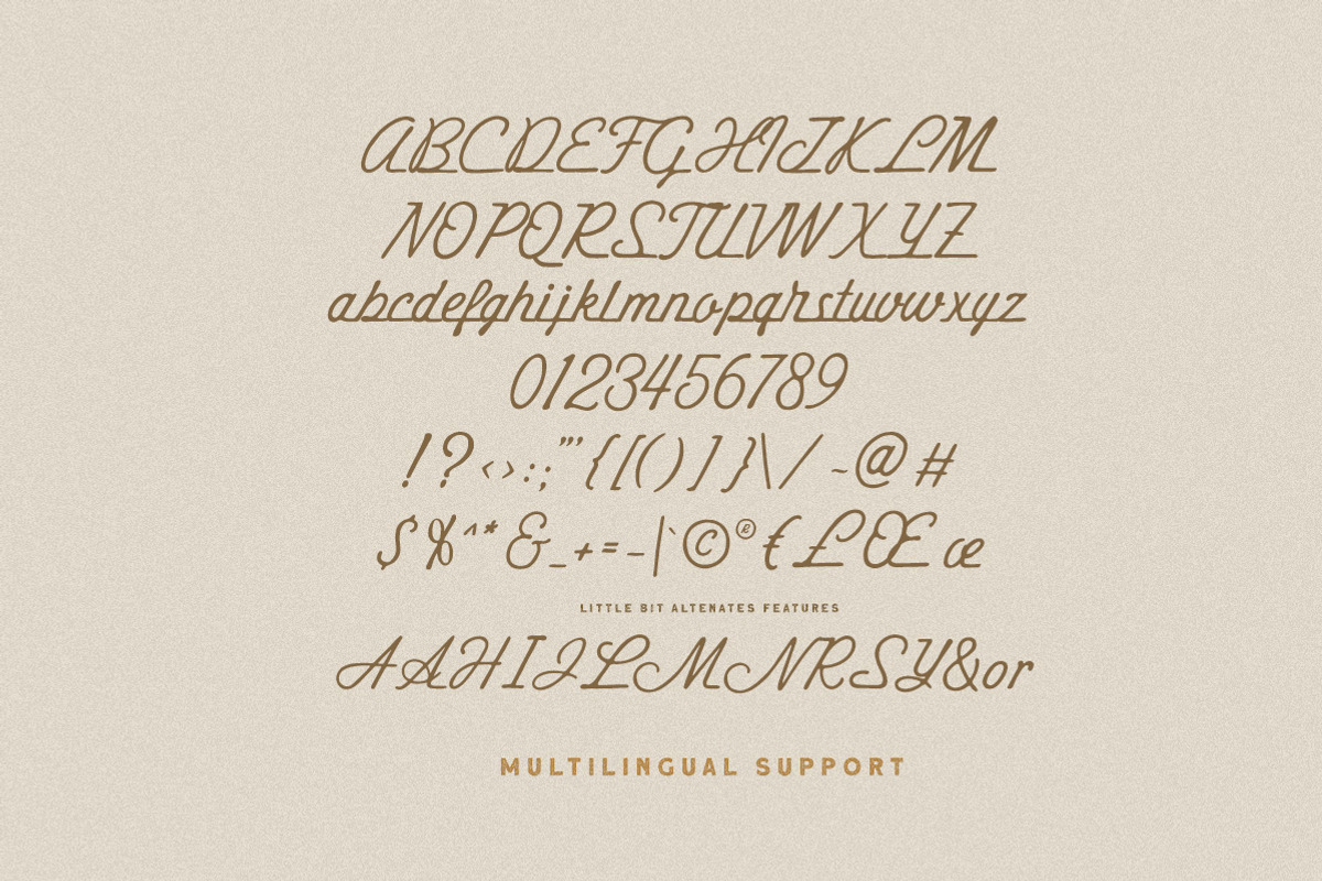 Hustle Trip Vintage Monoscript, a Script Font by Letterhend Studio (Photo 6 of 9)