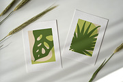 Tropical leaf posters, cards set, a Decorative Illustration by Good Studio (Thumbnail 10 of 14)