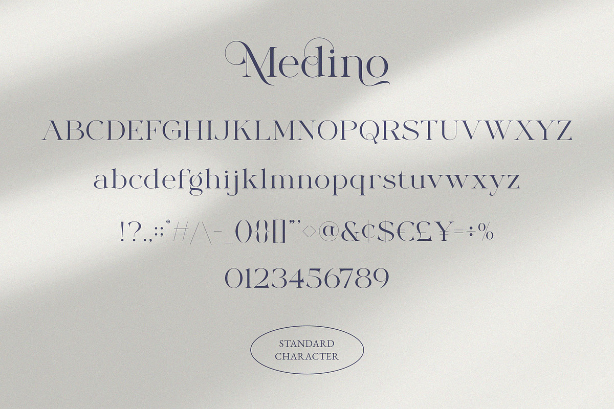 Medino // Modern Stylish Serif, a Serif Font by BrandSemut (Photo 10 of 10)