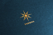 Astrophilia Logo Collection, a Branding & Logo Template by Michael Rayback Design (Thumbnail 21 of 27)