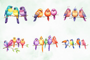Funny Colorful Birds Watercolor Png, an Illustration by Creative Art (Thumbnail 2 of 6)