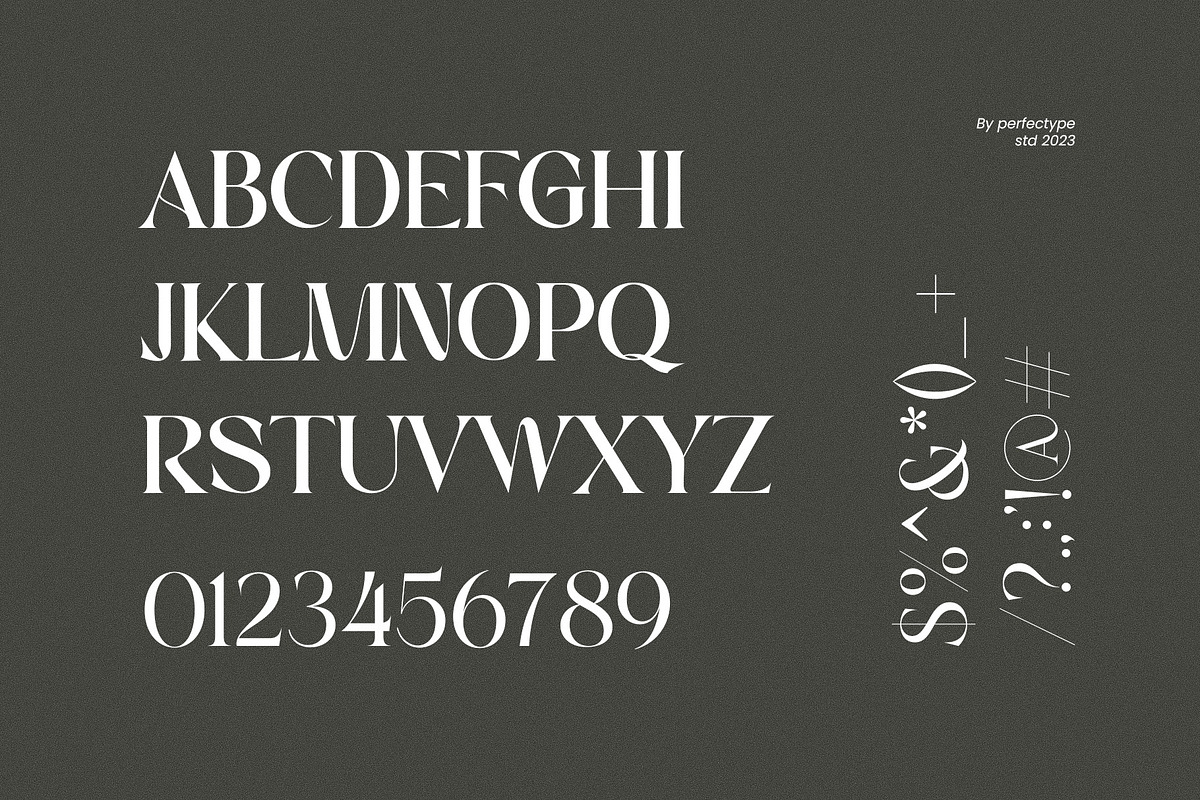 Morins Elegant Serif Font Typeface, a Serif Font by Perfectype (Photo 8 of 8)