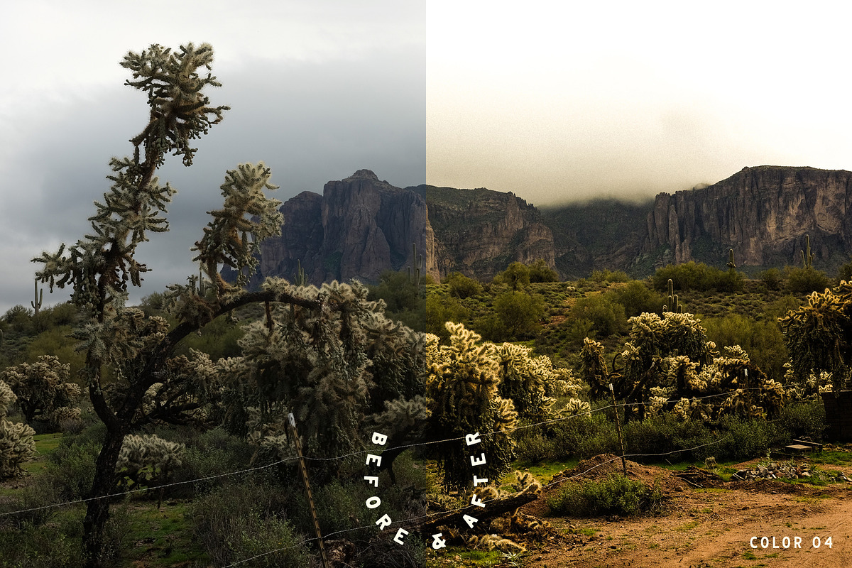 Mesquite Lightroom Presets, a Brushes & More by Cactus Country (Photo 6 of 11)