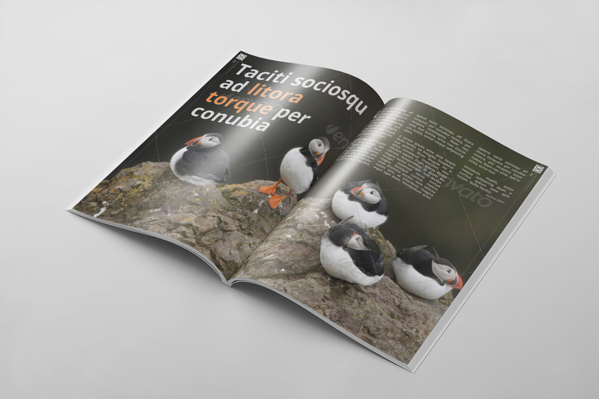 Magazine Template 26, a Magazine Template by pmvch (Photo 6 of 10)