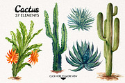 Watercolor Cactuses, an Illustration by Graphobia (Thumbnail 2 of 9)