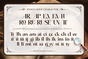 Shalli, a Serif Font by saemoon creative (Thumbnail 6 of 10)