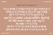 Silk Flower - Modern Serif, a Serif Font by Megi Satyo Widodo (Thumbnail 24 of 26)