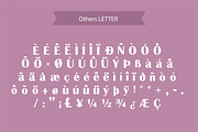 Cicicle Font, a Serif Font by Photoshop Action (Thumbnail 4 of 6)