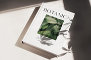 Equinox Stylish Font duo & logo set, a Slab Serif Font by Studio Aurora (Thumbnail 12 of 13)