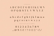 Ceflinty – Luxury Elegant Serif Font, a Serif Font by BrandSemut (Thumbnail 8 of 8)
