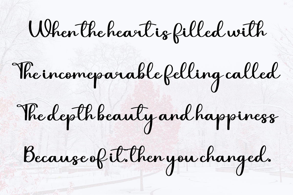Wonderful Signature, a Handwritten Font by InermediaSTUDIO (Photo 4 of 7)