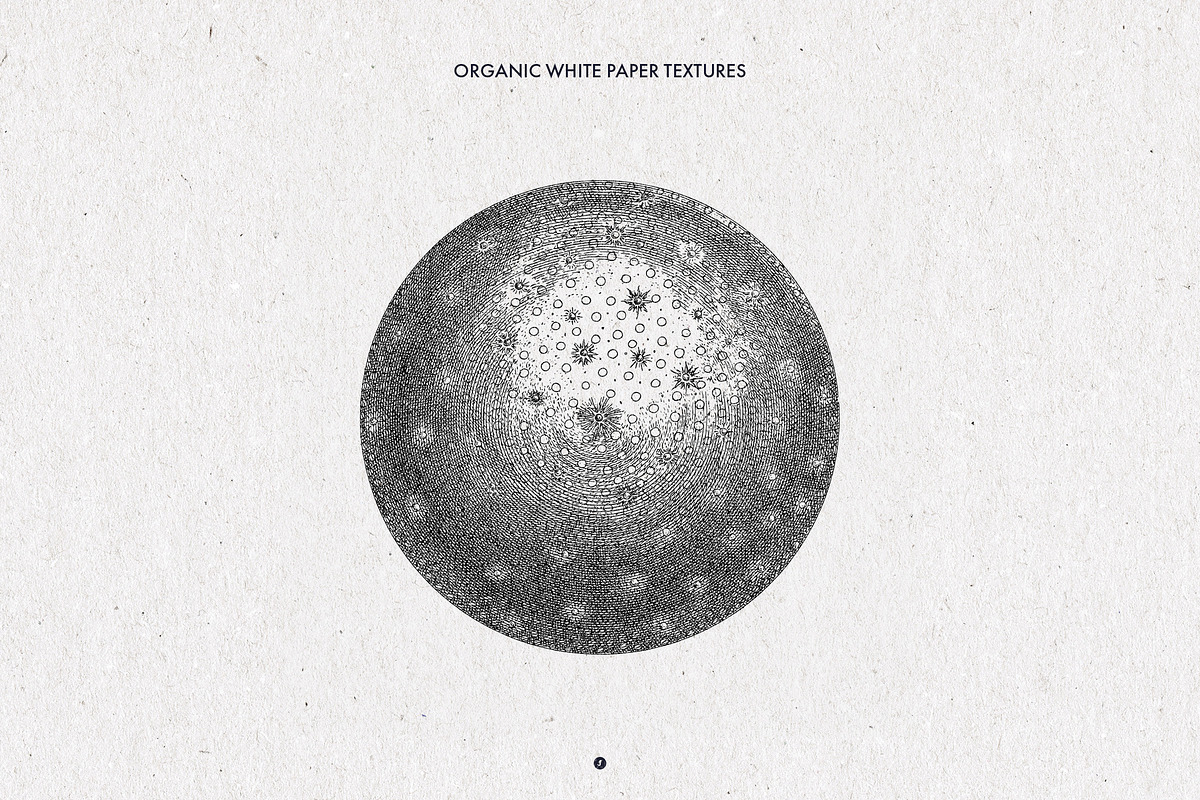 Organic White Paper Textures, a Texture Graphic by Freezerondigital (Photo 5 of 6)