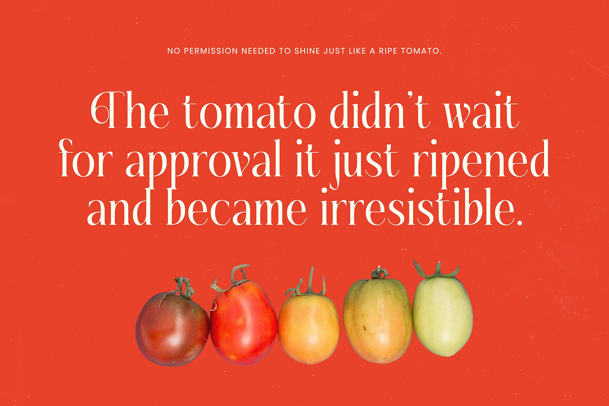 Fading Husker Modern Serif Font, a Serif Font by timelesstype.co (Photo 3 of 20)