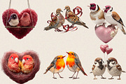 Quirky Valentine Birds Clipart Bundl, an Illustration by SVGArt (Thumbnail 7 of 8)