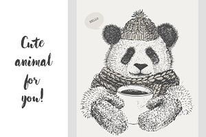 cute Panda in a scarf