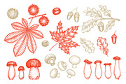 Autumn Season Illustrations, a Seasonal Illustration by Lubov Illustrations Shop (Thumbnail 4 of 6)