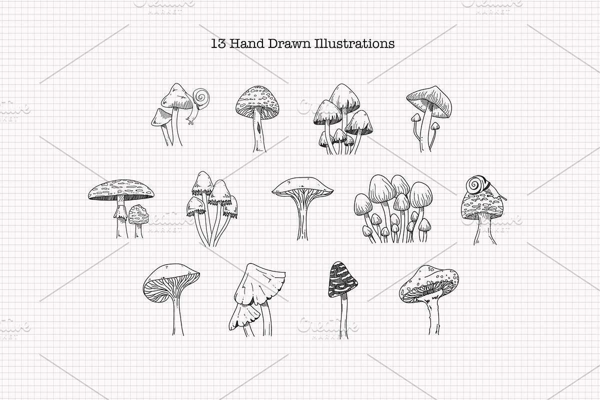 Mushroom Sketch Clipart Collection, an Illustration by Hannah Eliza Studio (Photo 2 of 5)