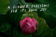 Quisas - Quirky Handwriting Fonts, a Handwritten Font by Ian Irwanwismoyo (Thumbnail 4 of 6)