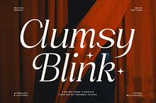 Clumsy Blink - Retro Serif Font