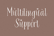 Evening River - Elegant Display Type, a Font by Littlehand (Thumbnail 6 of 8)