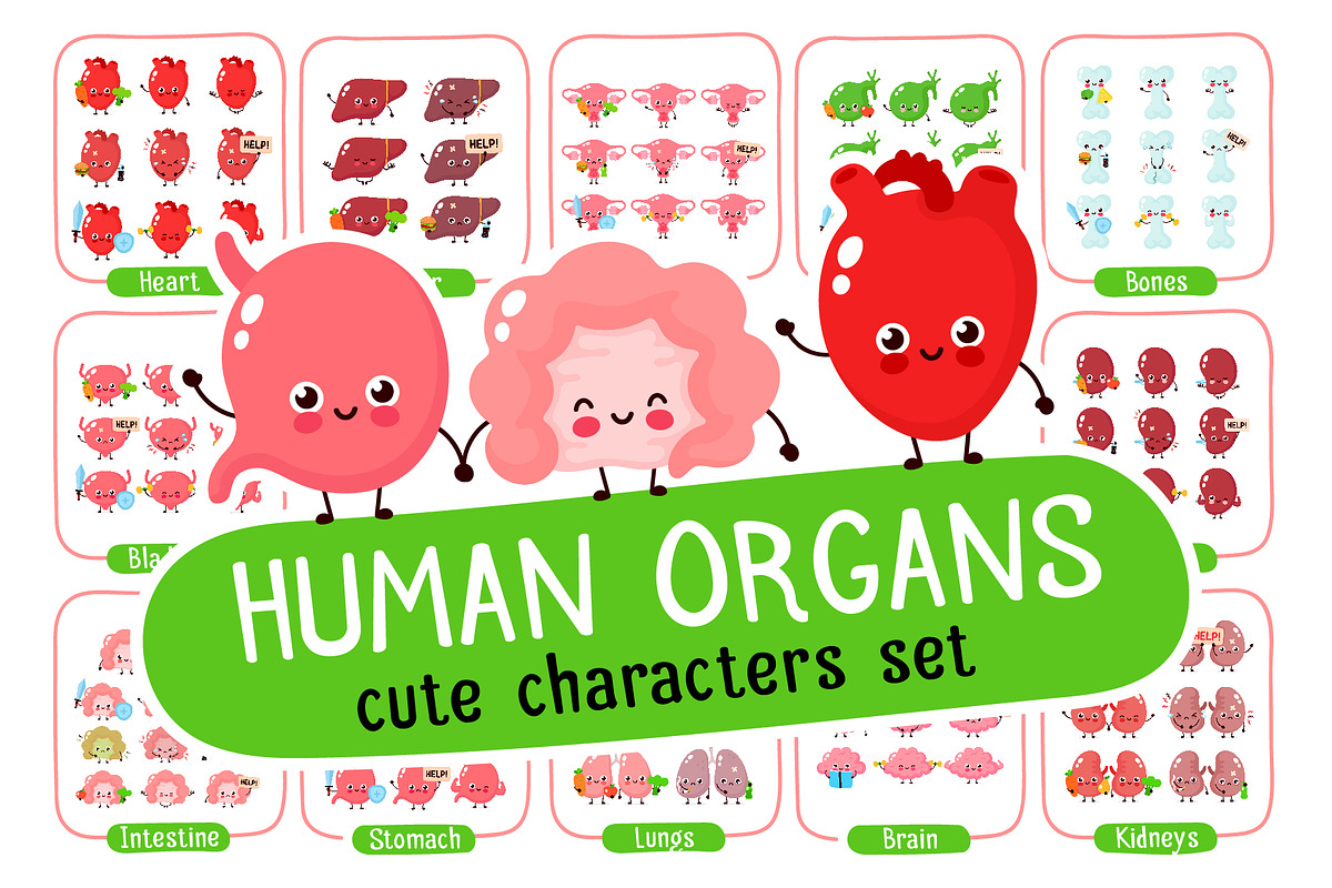 Cute human organs set, a Food Illustration by Slavko Kahovsky (Photo 1 of 9)