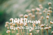 Wild Flowers II, a Templates & Theme by ApertureVintage (Thumbnail 13 of 14)