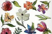 Modern Florals Watercolor clipart, an Illustration by SandraGraphicDesign (Thumbnail 3 of 4)