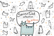 BIG CAT BUNDLE - 16 products in 1, an Illustration by Zooza Art (Thumbnail 12 of 17)