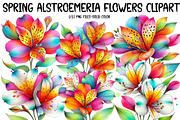 Spring Alstroemeria Flowers Clipart, an Illustration by Designworld (Thumbnail 1 of 4)