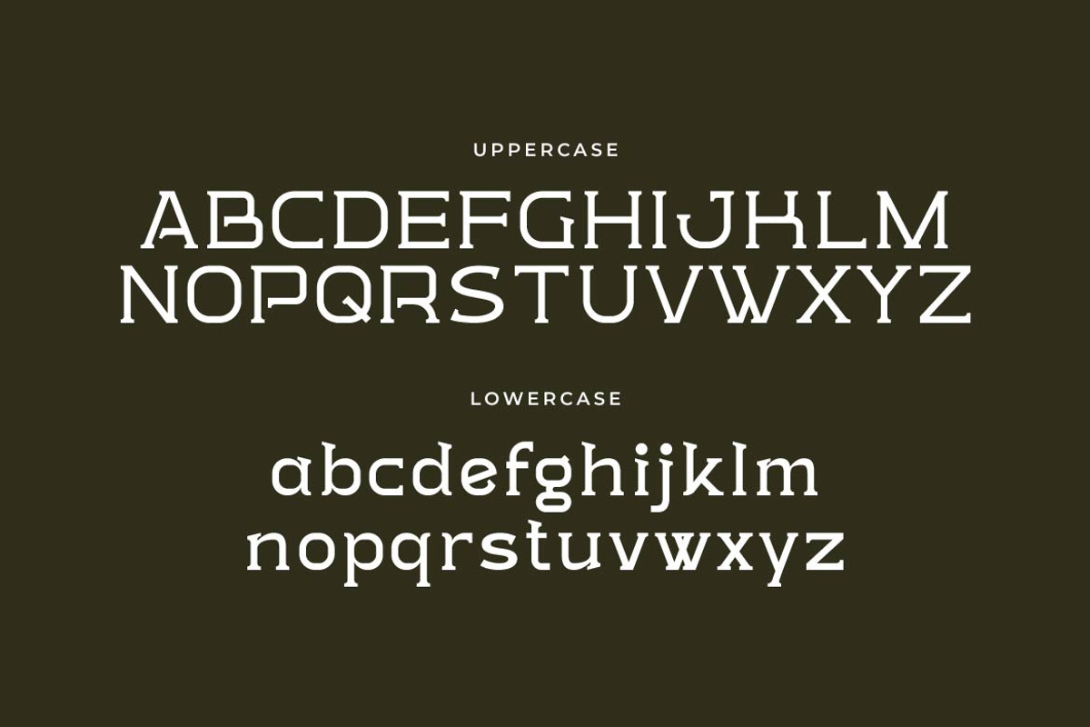 Parlae – Vintage Serif Font, a Serif Font by Artiveko (Photo 2 of 8)