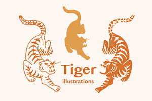 Tiger Illustration