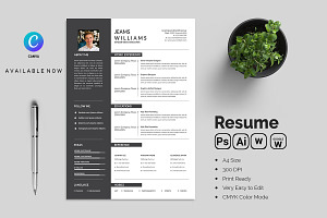 Clean Resume CV