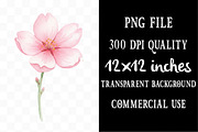 Watercolor Sakura Blossoms Clipart, an Illustration by Designking (Thumbnail 4 of 5)