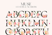 MUSE Real Watercolor Flowers, a Decorative Illustration by Lana Elanor (Thumbnail 7 of 12)