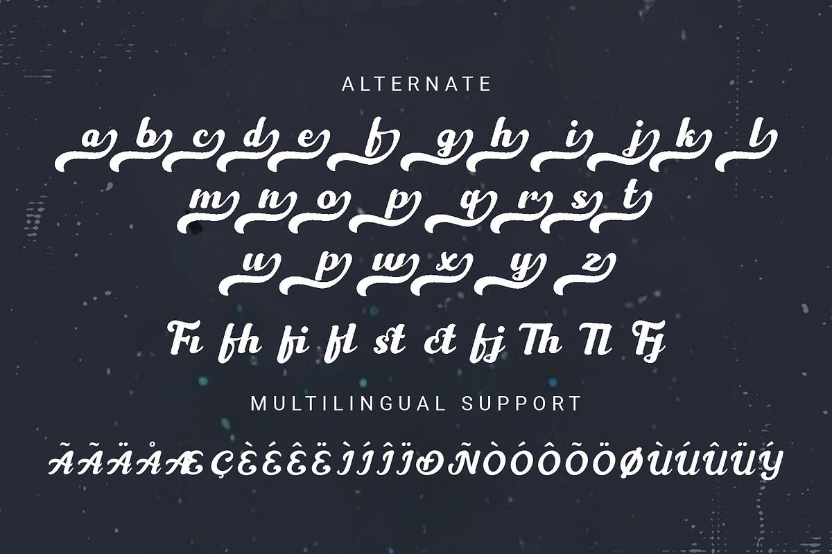 Barico - Modern Skript Font, a Script Font by RHD Creative Studio (Photo 11 of 11)