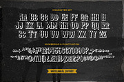 Albertson - Vintage Font, a Serif Font by Arterfak Project (Thumbnail 11 of 13)