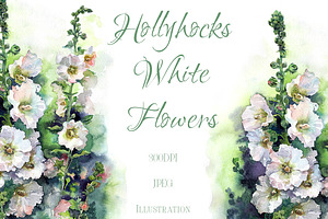 SALE! Watercolor Hollyhocks flowers