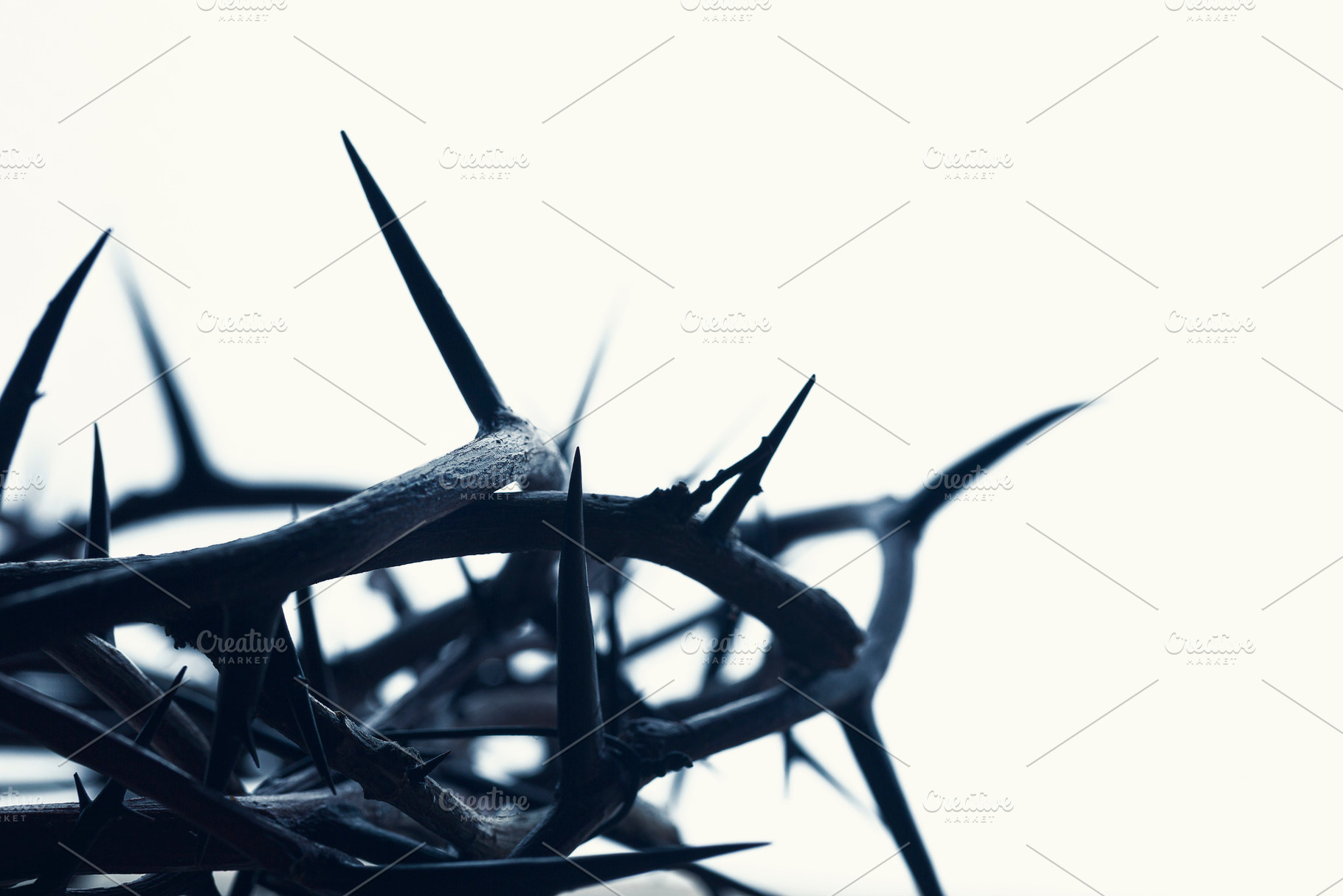 Crown of thorns, a Background Photo by Javier Art Photography