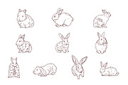 Breeds Rabbit Handdrawn Vol 2, an Animal Illustration by SLAB! Design (Thumbnail 3 of 3)