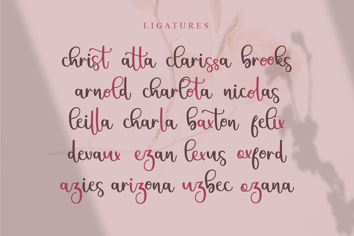 Christin | Wedding Script Font, a Script Font by Suntype | Sunshine Std (Photo 3 of 9)