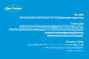 BrillScript Font, a Script Font by Brainware Graphic (Thumbnail 2 of 7)