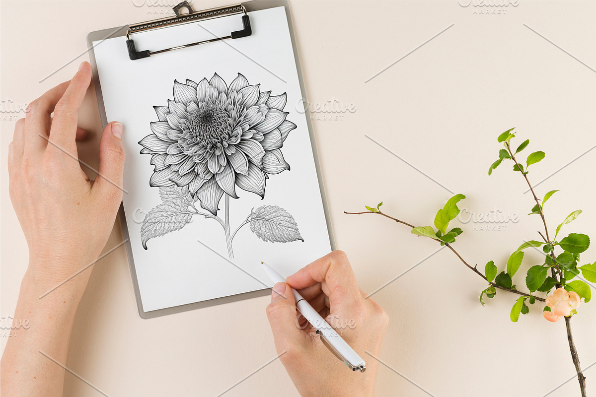 100 Beautiful Flower Coloring Pages, a Decorative Illustration by Blue Digital Studio (Photo 3 of 7)
