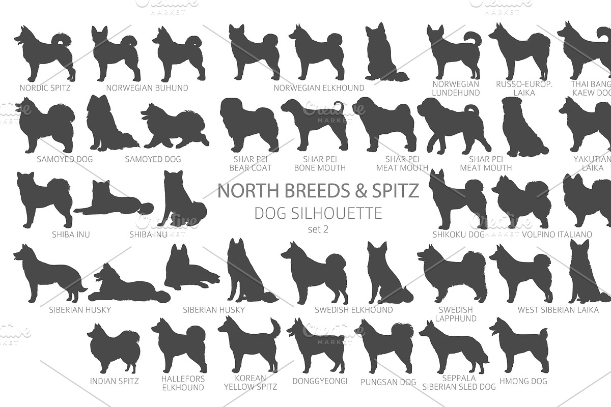 North breeds and Spitz Silhouettes, an Animal Illustration by pet design shop (Photo 3 of 10)